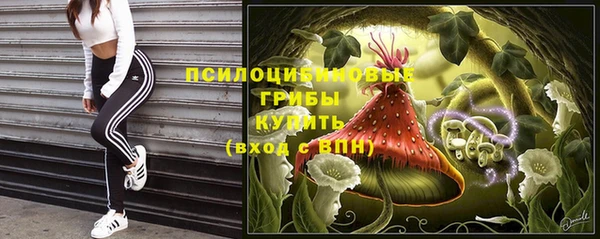 гидропоника Алексин